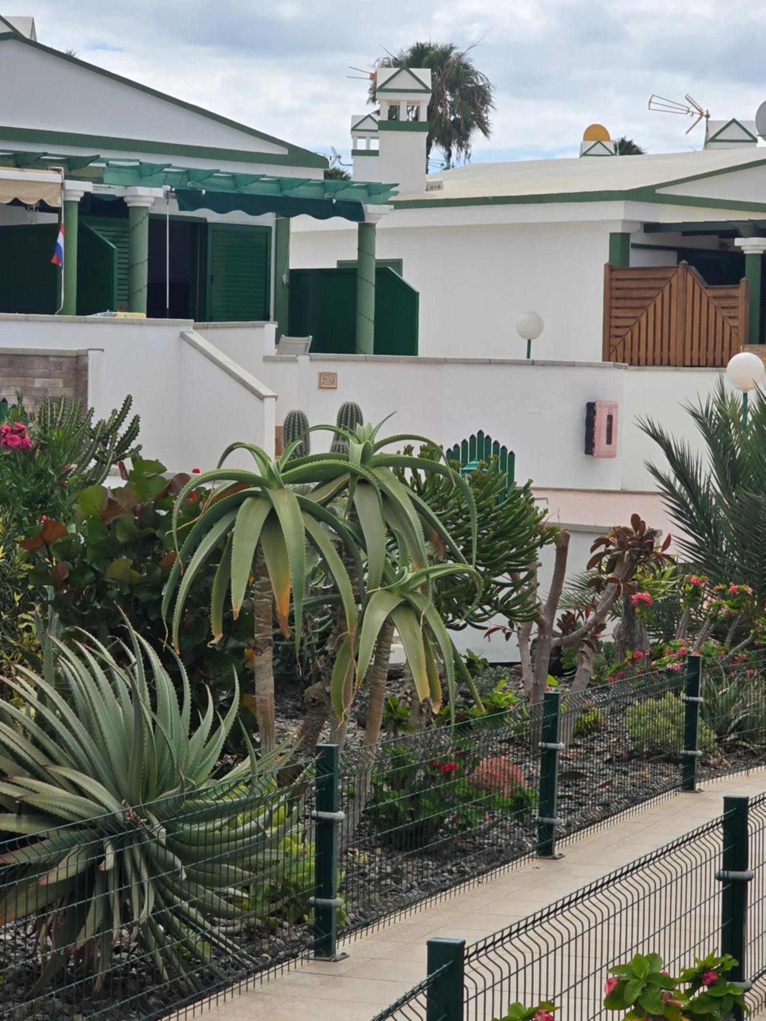 The Sunflower Appartement *